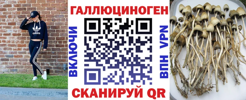 Псилоцибиновые грибы мицелий  наркота  Выкса 